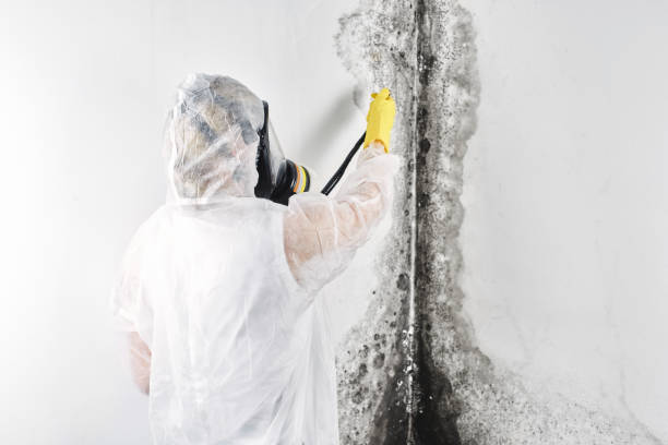 Best Professional water damage repair  in Lakesite, TN